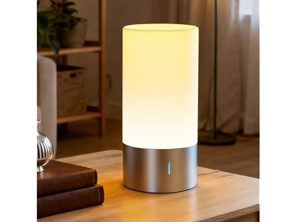 Famigreta Plug In Table Lamp