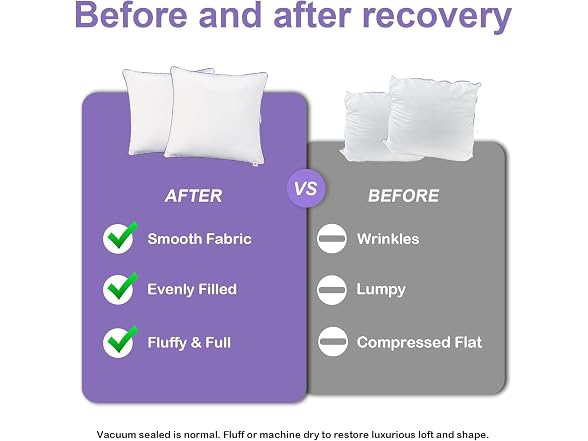 Wuuyuef 20x20 Pillow Inserts, 2-Pack