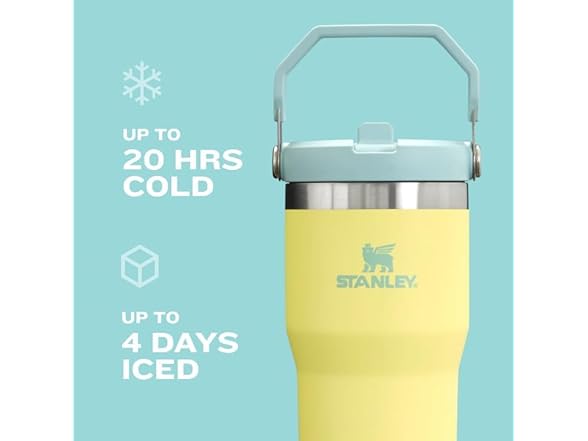 Stanley IceFlow 2.0 Flip Straw Tumbler 30 oz