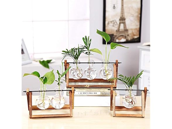 Water Planting Glass Vase w/Wood Stand