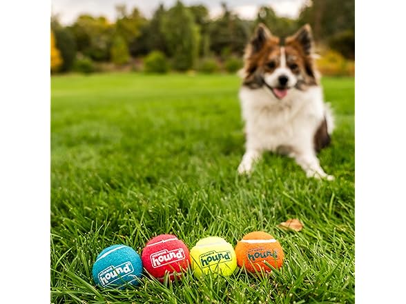 Outward Hound Squeaker Ballz 4-Pack