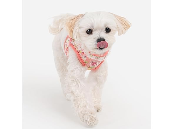 Pinkaholic New York Lilibeth Dog Vest Harness