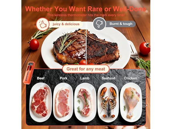 Heieeus Smart Wireless Meat Thermometer