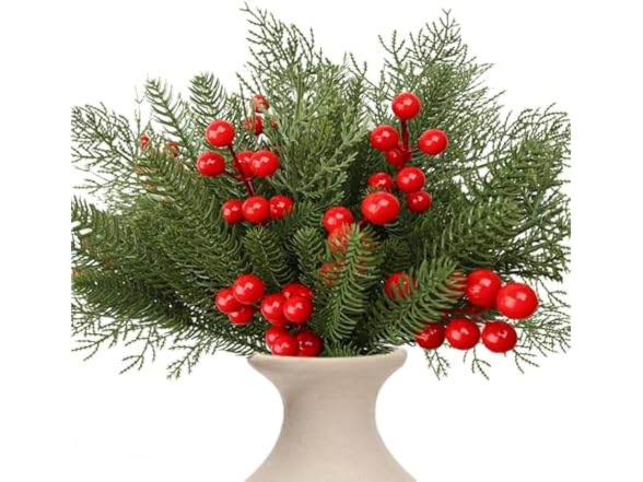 XianCoLai 95PCS Christmas Decoration Set