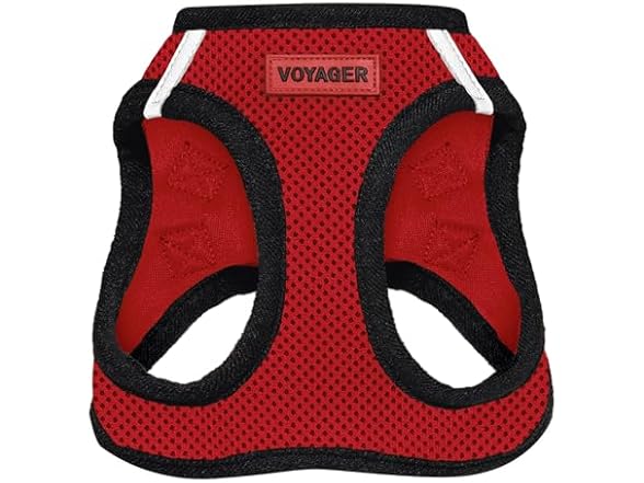 Red/Black Trim