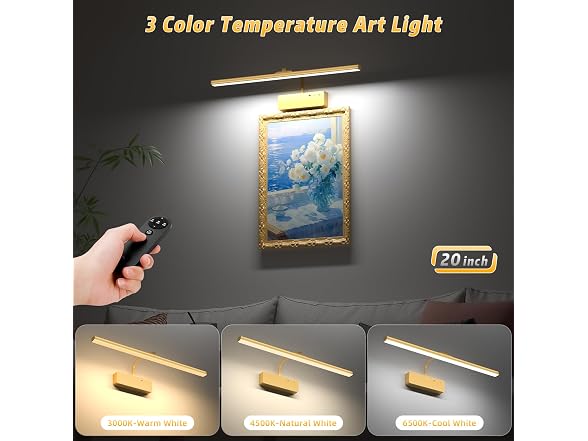 Lightbiz Picture Light 20in Gold