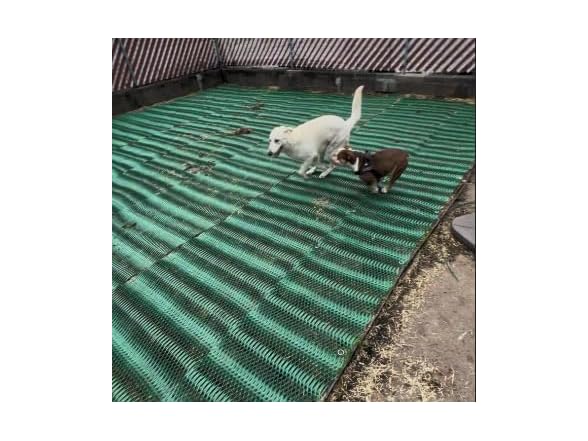 RutGuard Grass Protection Mesh - 3'x50'