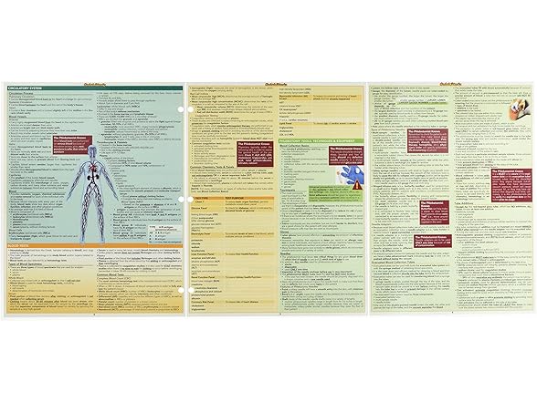 Bar Charts Phlebotomy Guide Med/Health