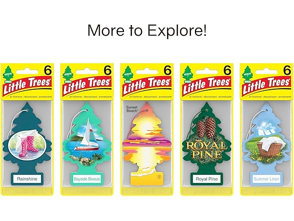 LITTLE TREES Car Air Freshener, 24 Count