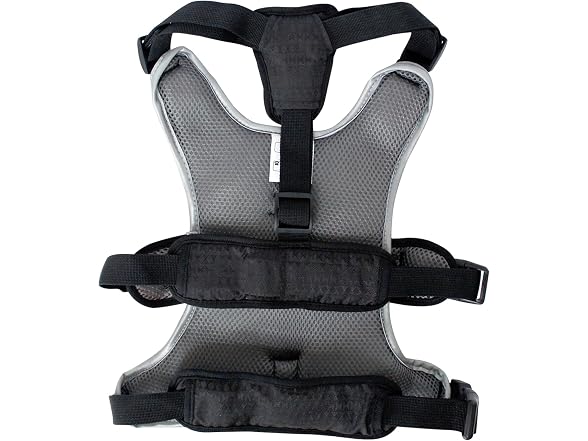 No-Pull Dog Harness Blue Dog Harness