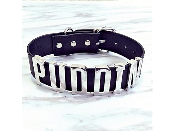 Adjustable Fashion High Neck Black Belt
