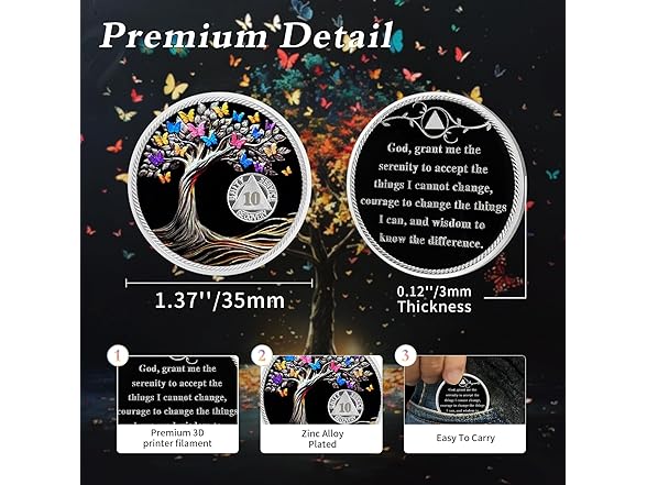 IELCJJ Delicate 10 Month Sobriety Coin