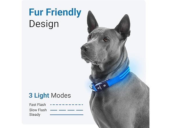 Tractive LED Light Up Dog Collar USB Rec