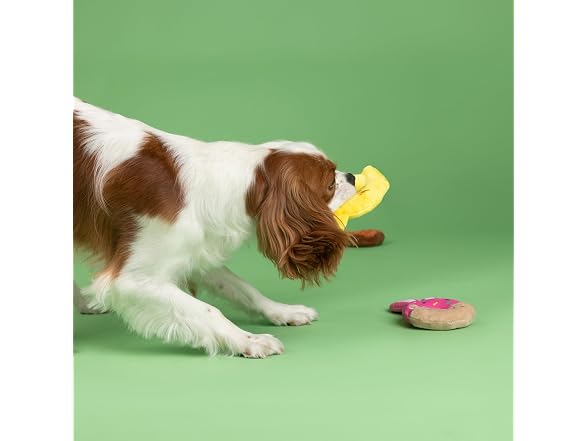 Fringe Studio Plush Dog Toy, 3 Pieces Set, Donuts
