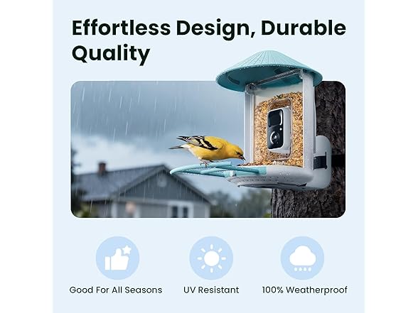 Birdfy BF1 feeder gift set