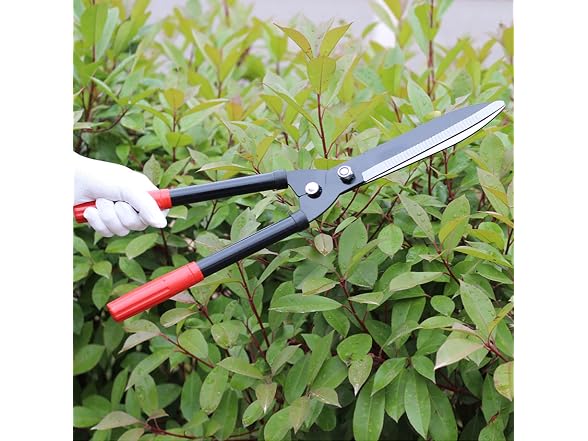 EliteBloom GAR-38 Manual Hedge Shears