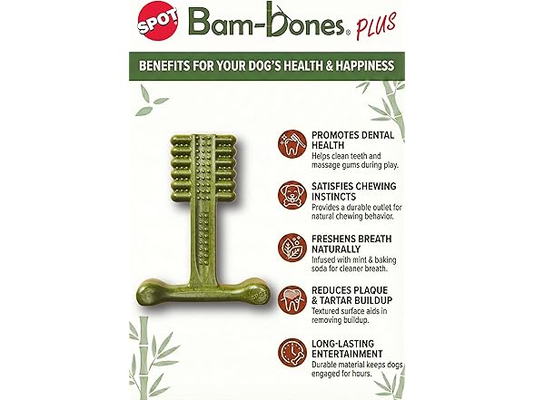 SPOT Bam-Bones Plus Toothbrush Dog Chew Toy