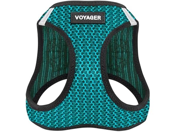 Turquoise 2Tone