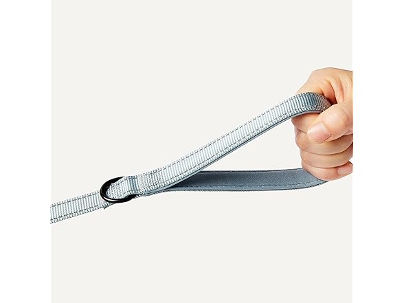 Amazon Basics Reflective Dog Leash 4ft