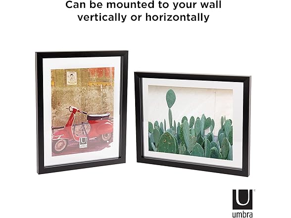 Umbra Umbra Document Frame - 11x14 Picture Fra
