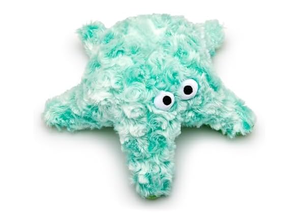 Green Starfish