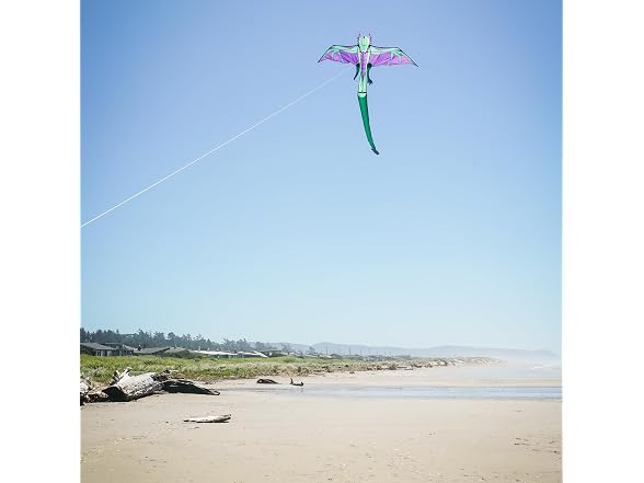 In the Breeze 3399 90-inch Dragon Kite