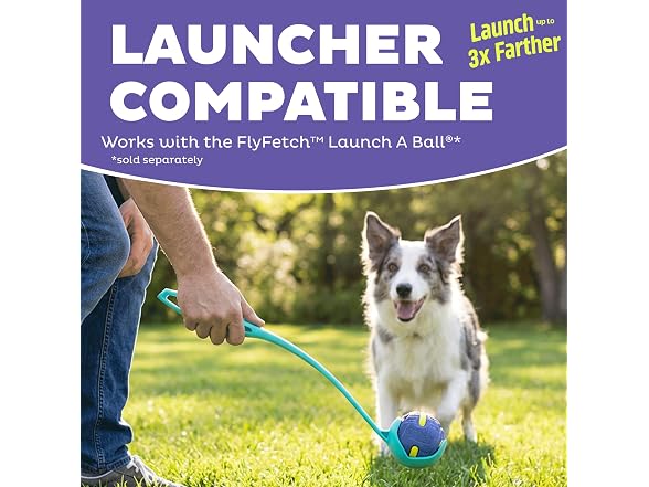 Outward Hound FlyFetch Rubber Fetch Ballz Dog Toy