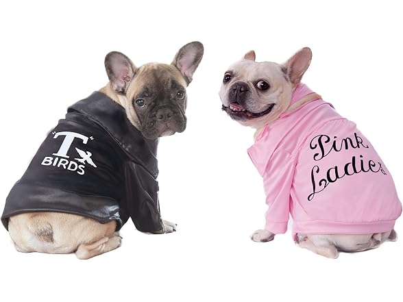 Rubies at Party City Grease: Pink Ladies Pet Costume