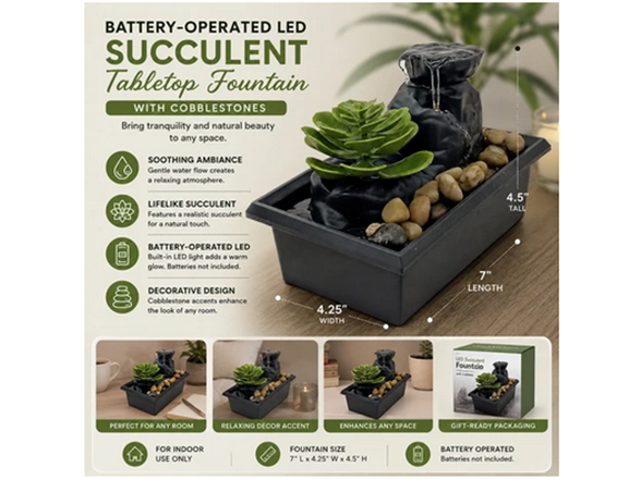 Battery-Operated LED Succulent Tabletop Fountain - Gallery 2