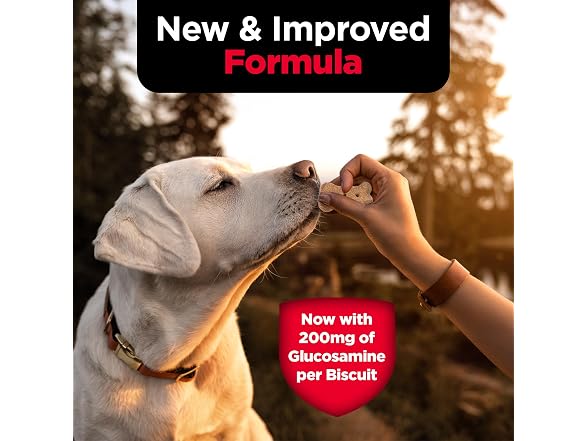Nutri-Vet Hip & Joint Biscuits for Dogs