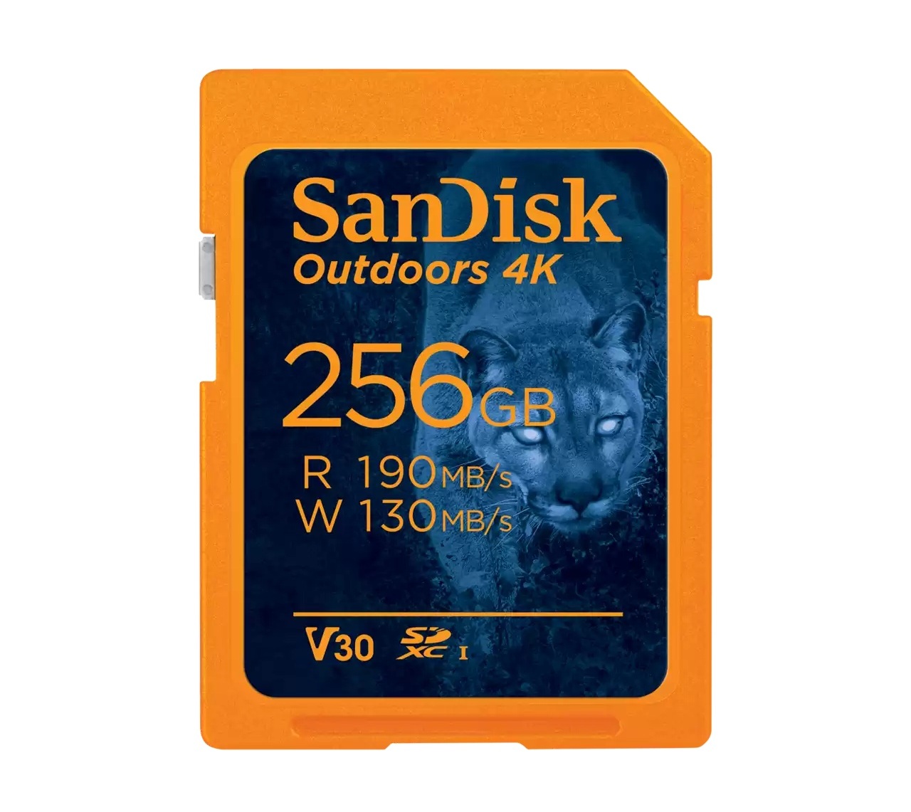 SanDisk Outdoors 4K 256GB SDXC UHS-I Card, Orange - Gallery 3