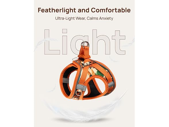 PetThem Cat Harness and Leash Set - Gallery 6