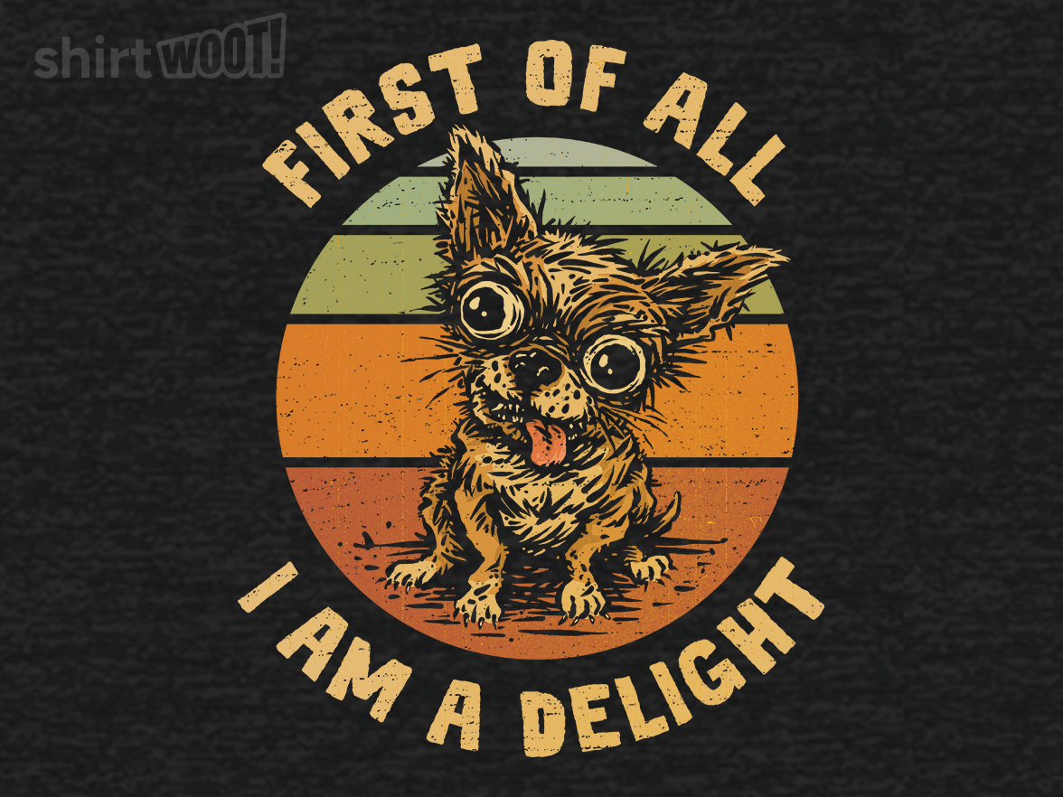 Delightful Chihuahua - Gallery 9
