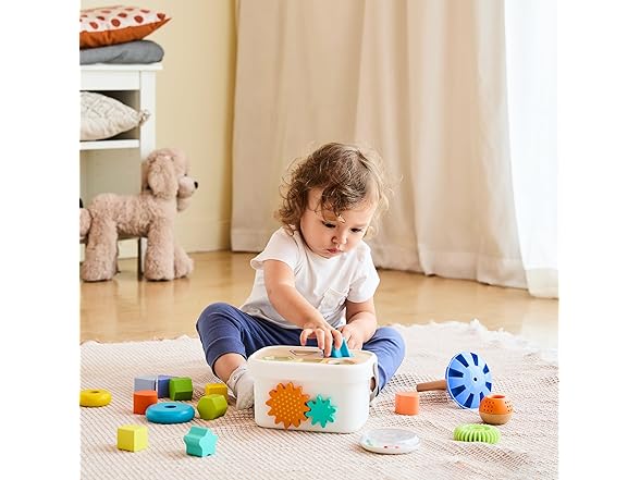 Amazon Basics Wooden Shape Sorter