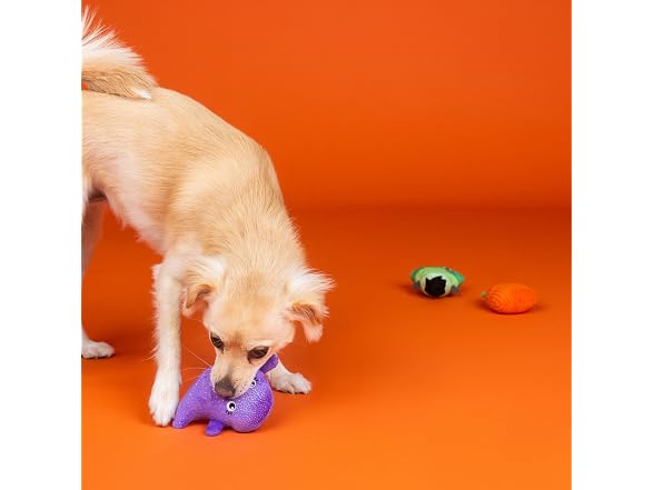 Fringe Studio Small Plush Dog Toy Set, Spooky Squad - Gallery 4