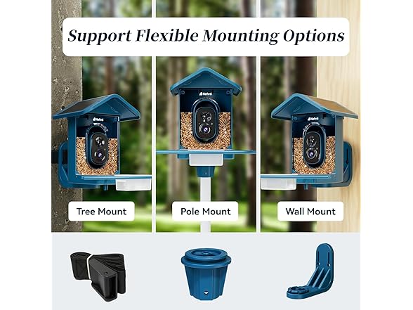 Bird Feeder with Camera