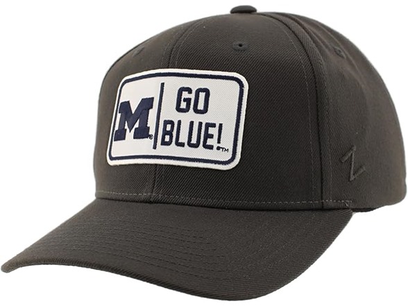 ZHATS NCAA ZH, Michigan Wolverines