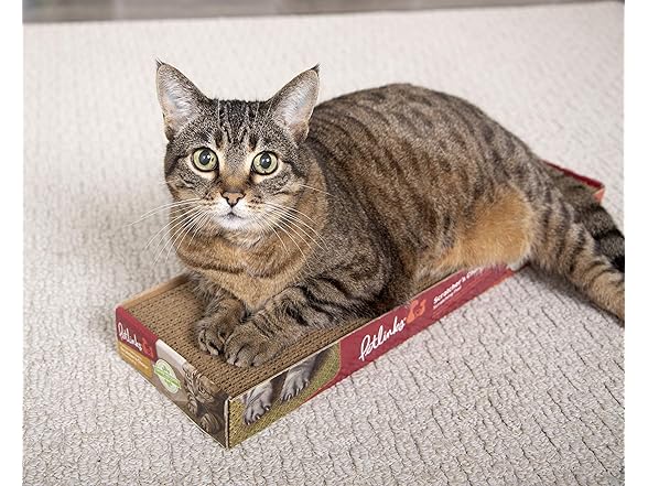 Links 49505 Corrugates Scratch Pad