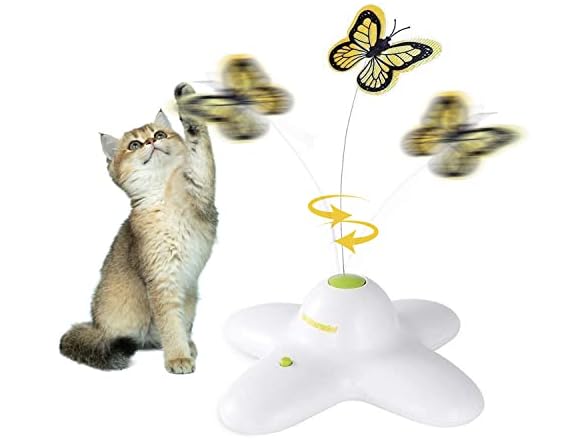 ALL FOR PAWS Interactives Flutter Bug
