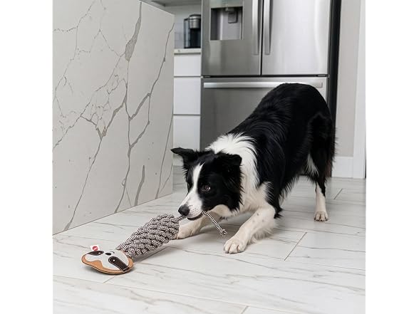 SPOT Dura-Fused Colors Leather Bottle Cruncher Sloth Dog Toy
