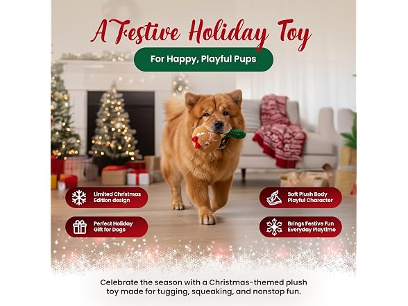 Bow Wow Pet Gingerbread Ornament Rope Plush Dog Toy
