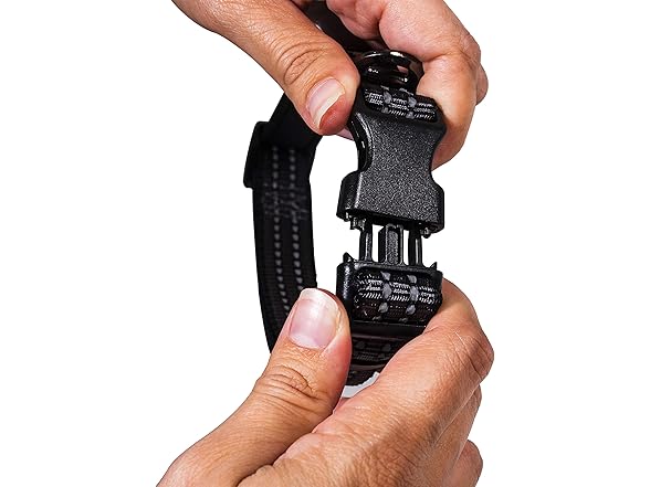 Franklin Pet Supply Co. - Nylon Dog Collar