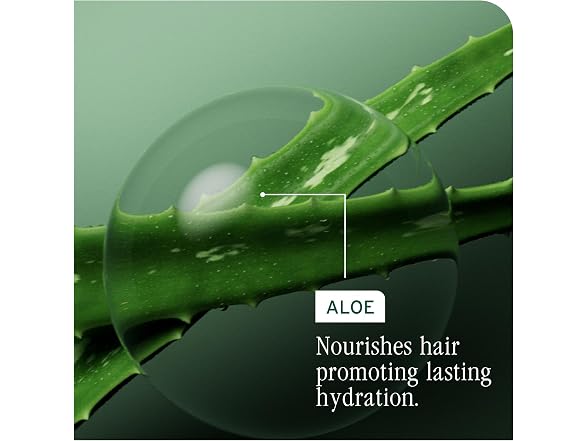 Biolage Matrix Biolage HydraSource Shampoo, 13.5 oz,