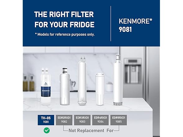 TEEHAY 9081 Water Filter Replacement