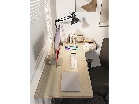 TotnzElectric Standing Desk 55 x 34 inch