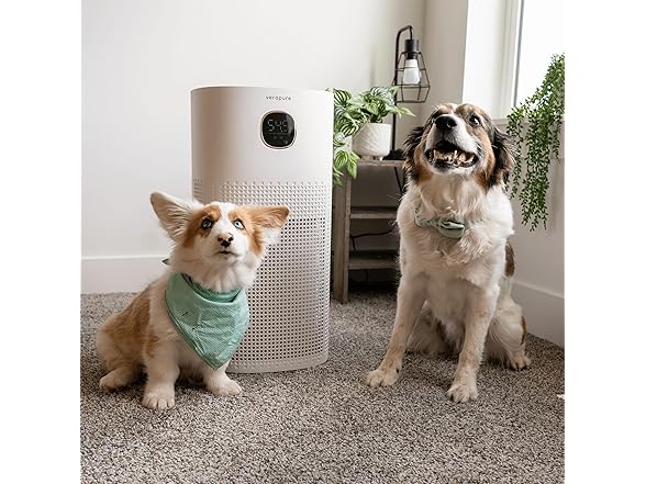 Verapure VP-300-WI Wi-Fi enabled HEPA Air Purifier