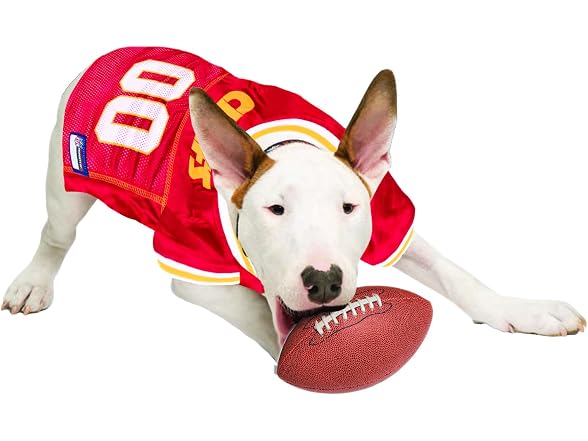 Pets First Pets First NFL AFC West Mesh Jersey