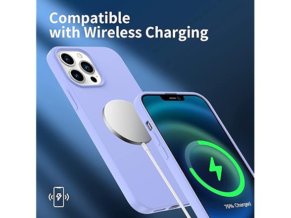 iPhone 13 Pro Max Case