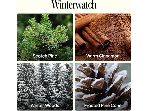 Preston Lane Kitchen Cleaning Set - Winterwatch