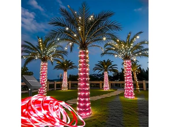 Honche Solar Rope Light 33FT 100L IP65